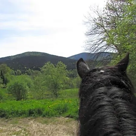 Les Paddocks