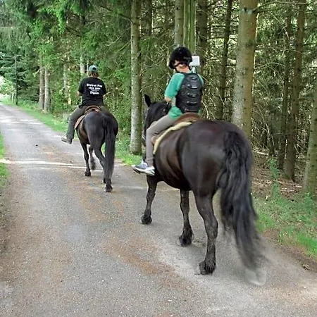 Les Paddocks 3* Vollore-Montagne