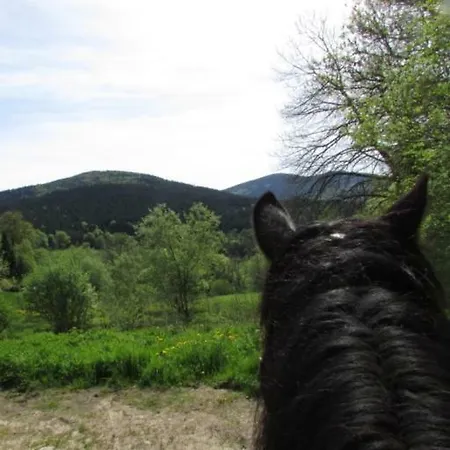 Les Paddocks Frühstückspension Vollore-Montagne
