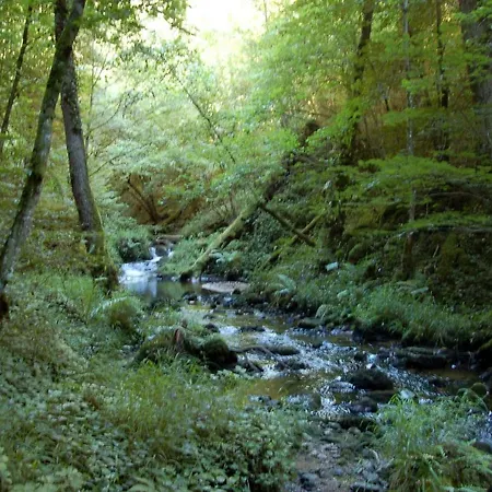 Bed & Breakfast Les Paddocks 3*