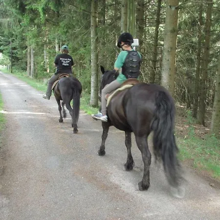 Les Paddocks * Vollore-Montagne