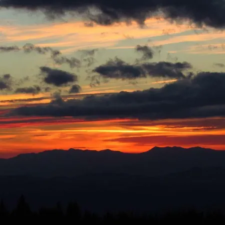 Les Paddocks Bed & Breakfast Vollore-Montagne