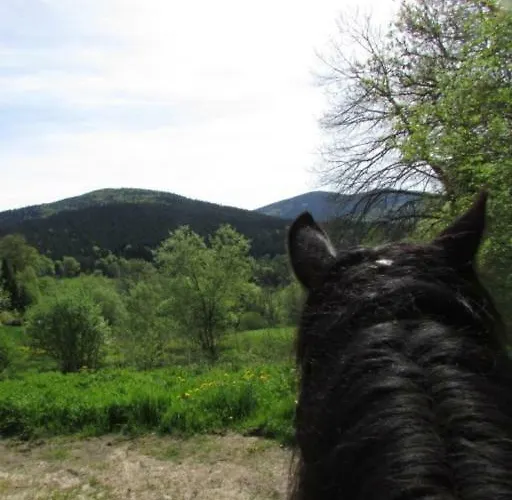 Les Paddocks Frühstückspension Vollore-Montagne