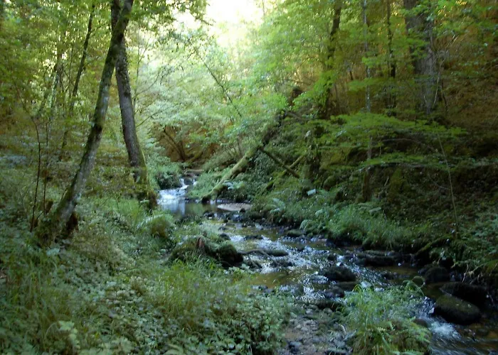 Frühstückspension Les Paddocks 3*