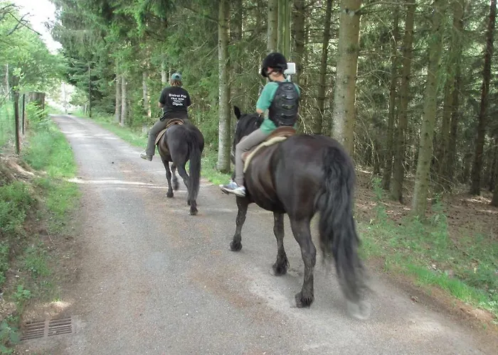 Les Paddocks 3* Vollore-Montagne